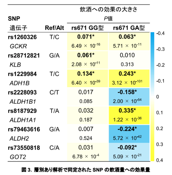 飲酒行動に影響を与える7つの遺伝子要因を特定（黄色が濃いほど飲酒量が大きくなり、青色が濃いほど飲酒量が低下する）