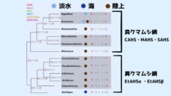 丸い円は生息地域を示しています。また右側の数値は各種の耐性遺伝子の数になります