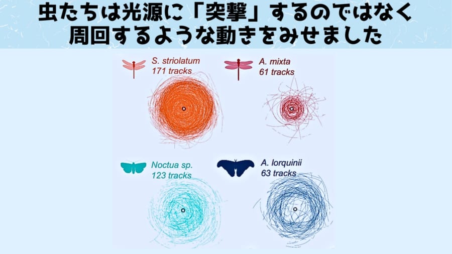 実は未解明問題「虫が光に引き寄せられる理由」を解明した論文が正式発表！