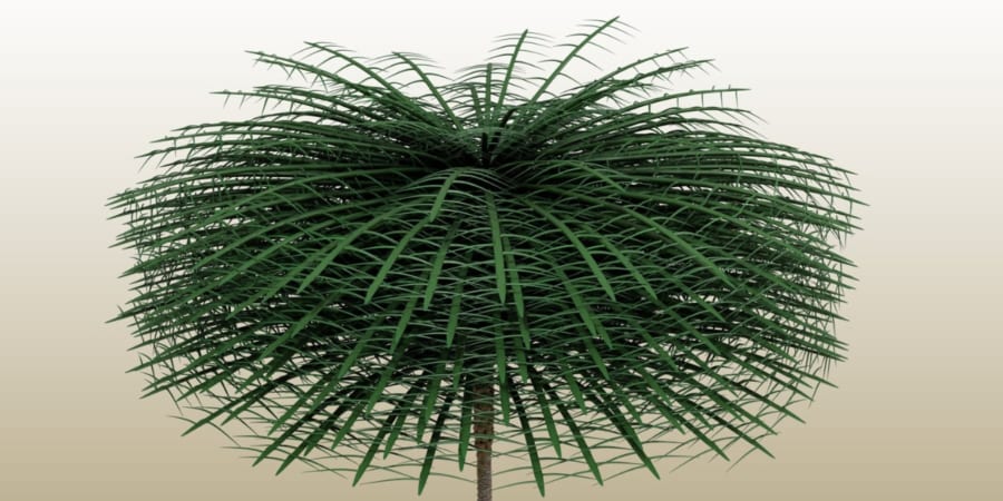 一億数千年前の化石3点セット　C-18 C-36 B-14 史上最古、37億年前の化石が発見される | ログミーBusiness