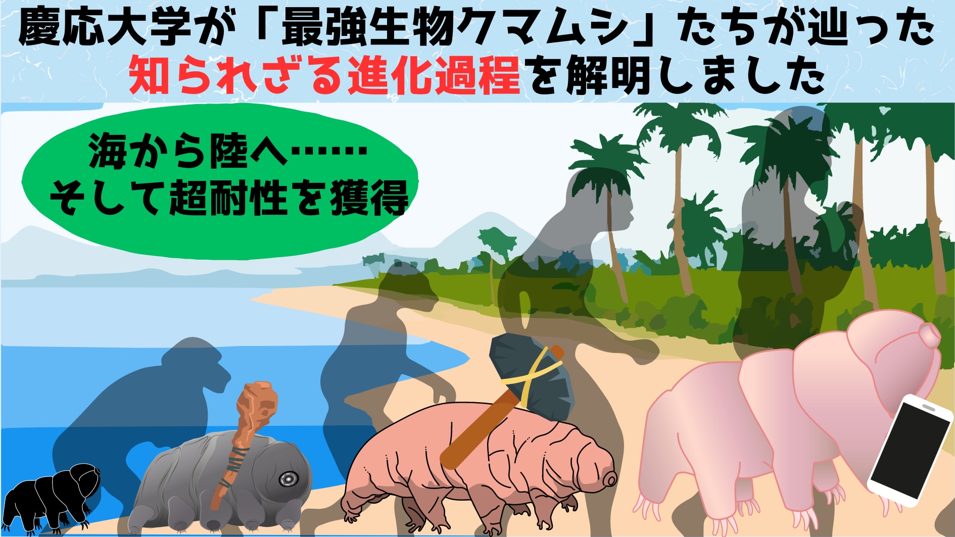 慶応大学が「最強生物クマムシ」がどうやって進化したか一端を解明！