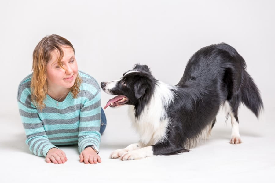 動物の声を理解するための簡単なポイントは？