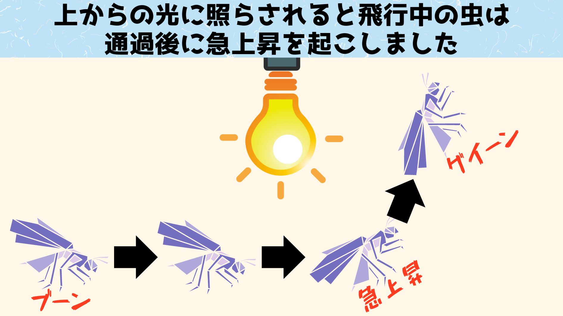 光に突撃するなら背を向ける必要はありません