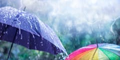 雨に濡れている方が雷に当たったときの生存率が高まると発表