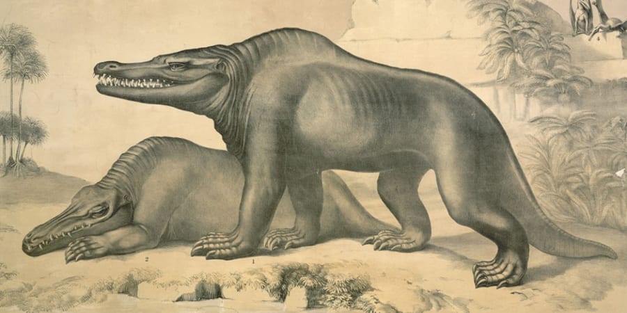 ニ*ノ様 原画 キャンバス C-REX 抽象画 恐竜 #146 ニ*ノ様 原画 キャンバス C-REX 抽象画 恐竜 #146