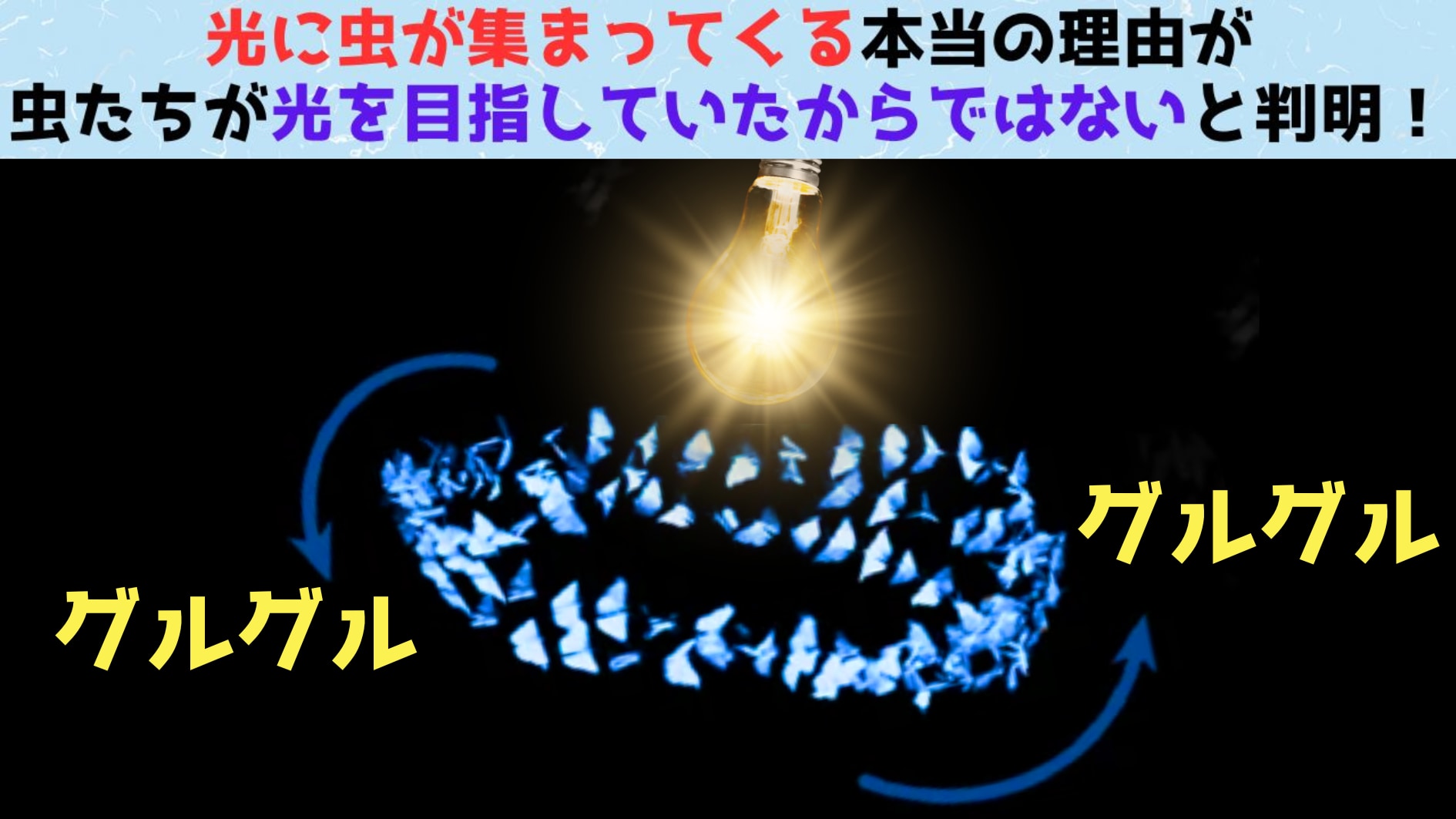 実は未解明問題「虫が光に引き寄せられる理由」を解明した論文が正式発表！