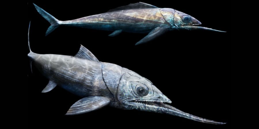 デボン紀の太古の海に「しゃくれを極めし魚」がいた！ - ナゾロジー