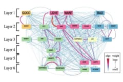 概念の関連性を示したcolexifucationネットワーク。同じ色は同系列の感情であり、赤色の矢印、特に太いものほど関連性が高い。