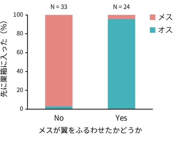 メスがジェスチャーをするとほぼ確実にオスが先に巣箱へ入る、ジェスチャーをしないとメスがそのまま先に入る