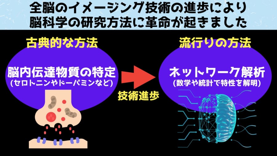 技術進歩により神経ネットワークそのもののを詳しく調べられるようになりました。