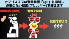 誤報があっても警報を抑えられればアレルギーも抑制できます