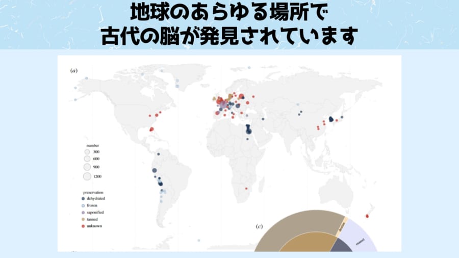 脳が保存されるのに気候はそれほど関係ないようだ