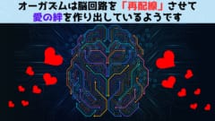 オーガズムは脳回路を「再配線」させて絆を作り出していたと判明！