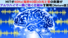 40Hz（毎秒40回）の光と音がアルツハイマー病に効く仕組みを解明！【Nature誌】