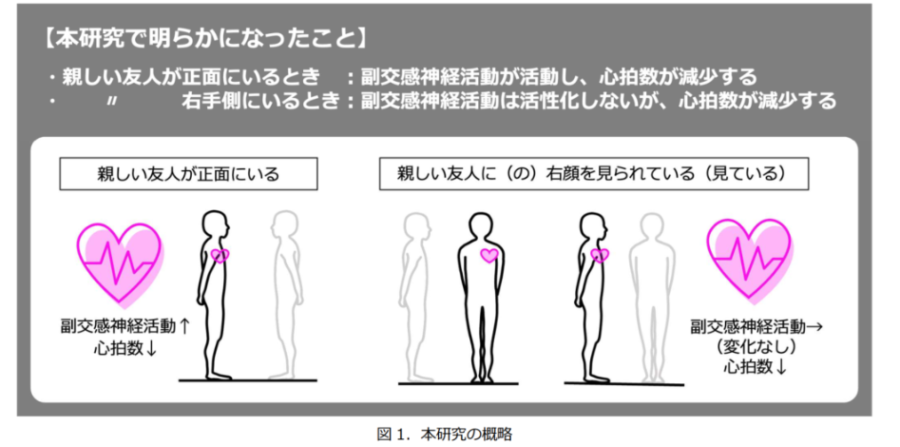 本研究で分かったことのまとめ