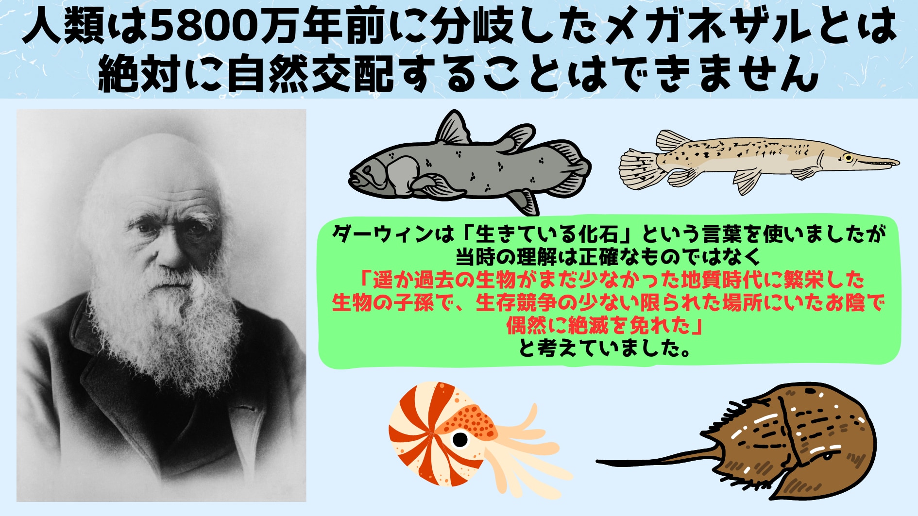 「生きている化石」たちのDNA変異速度を調べる