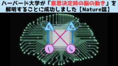 ハーバード大学「意思決定の仕組み」をついに判明【Nature誌】