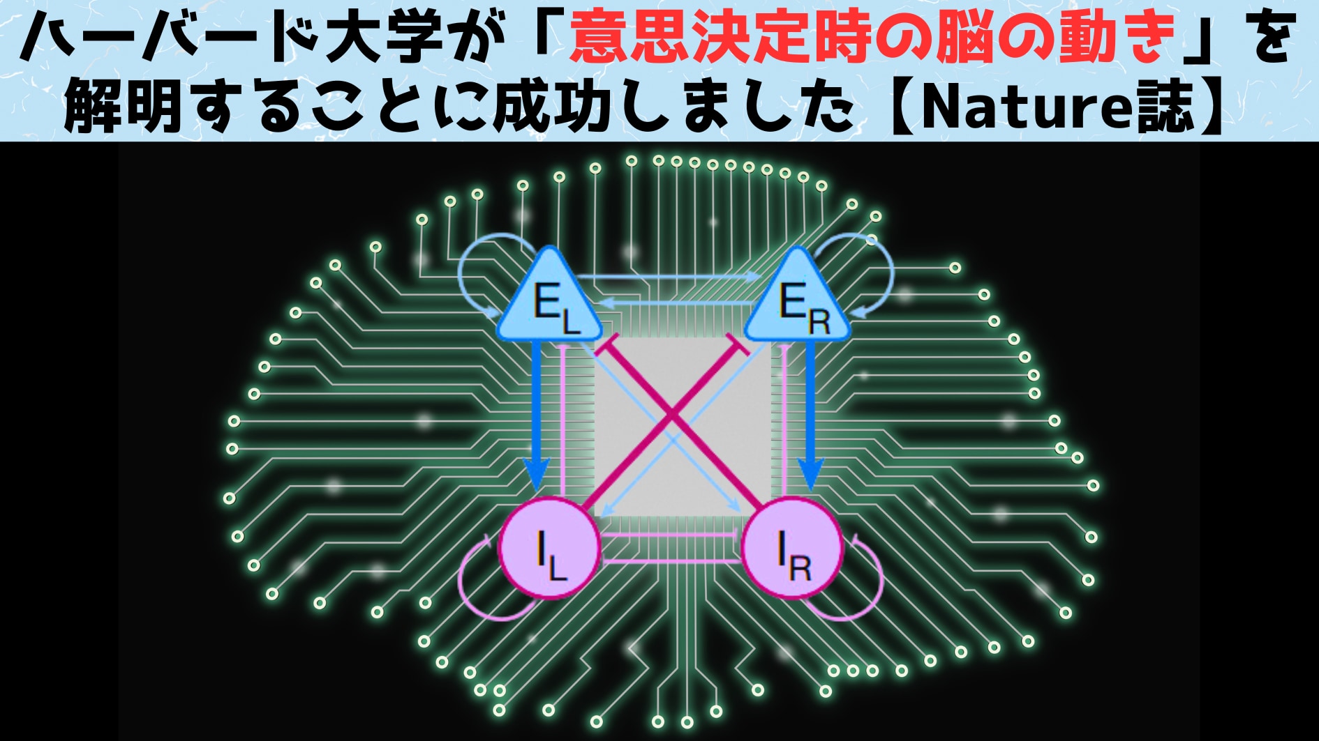 ハーバード大学「意思決定の仕組み」をついに判明【Nature誌】