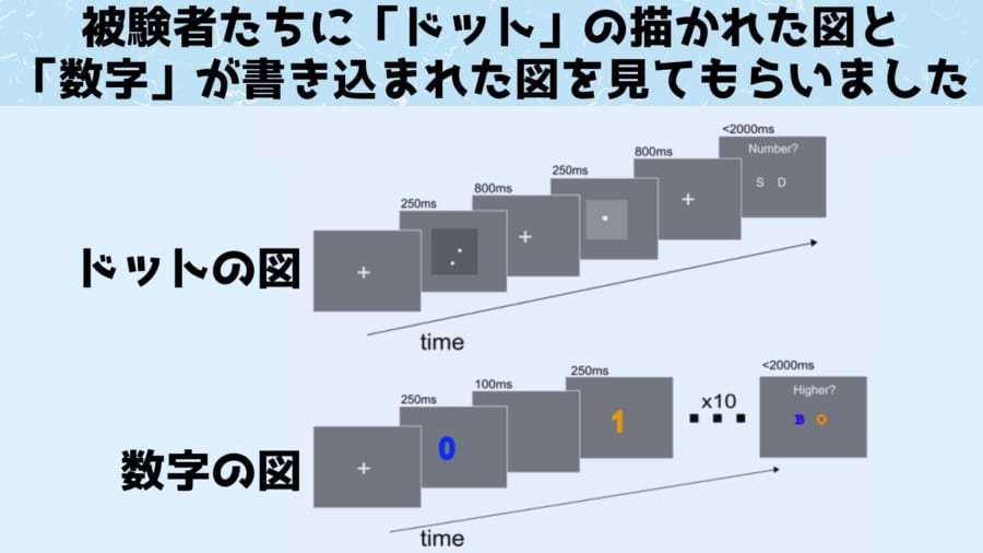 ドットと数字の図を見てもらい、そのときの脳活動を記録しました