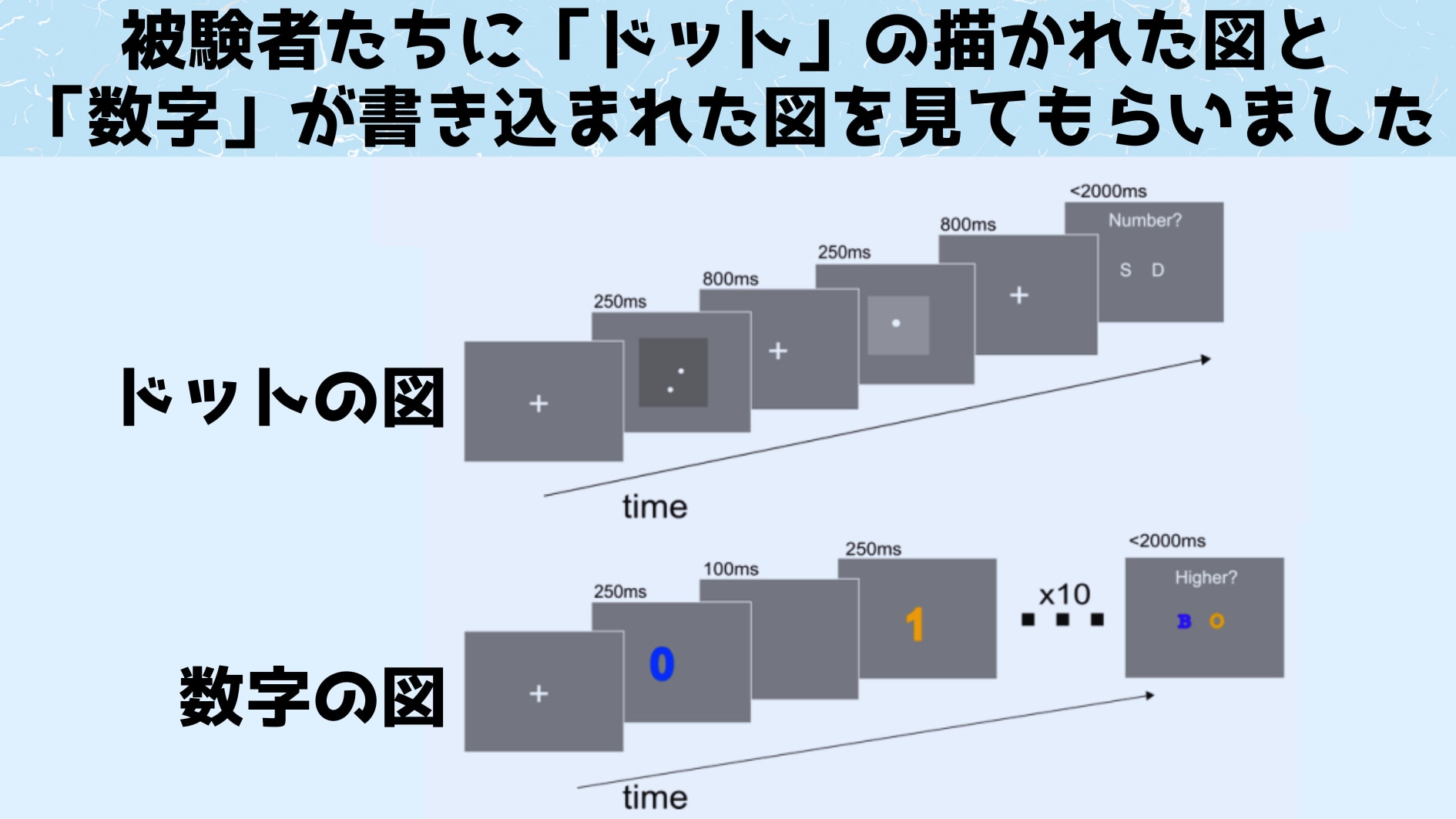 ドットと数字の図を見てもらい、そのときの脳活動を記録しました