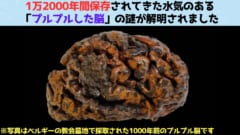 1万2000年間保存されてきた水気のある「プルプルした脳」の謎を解明