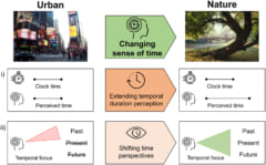 都会と自然での時間感覚の違い