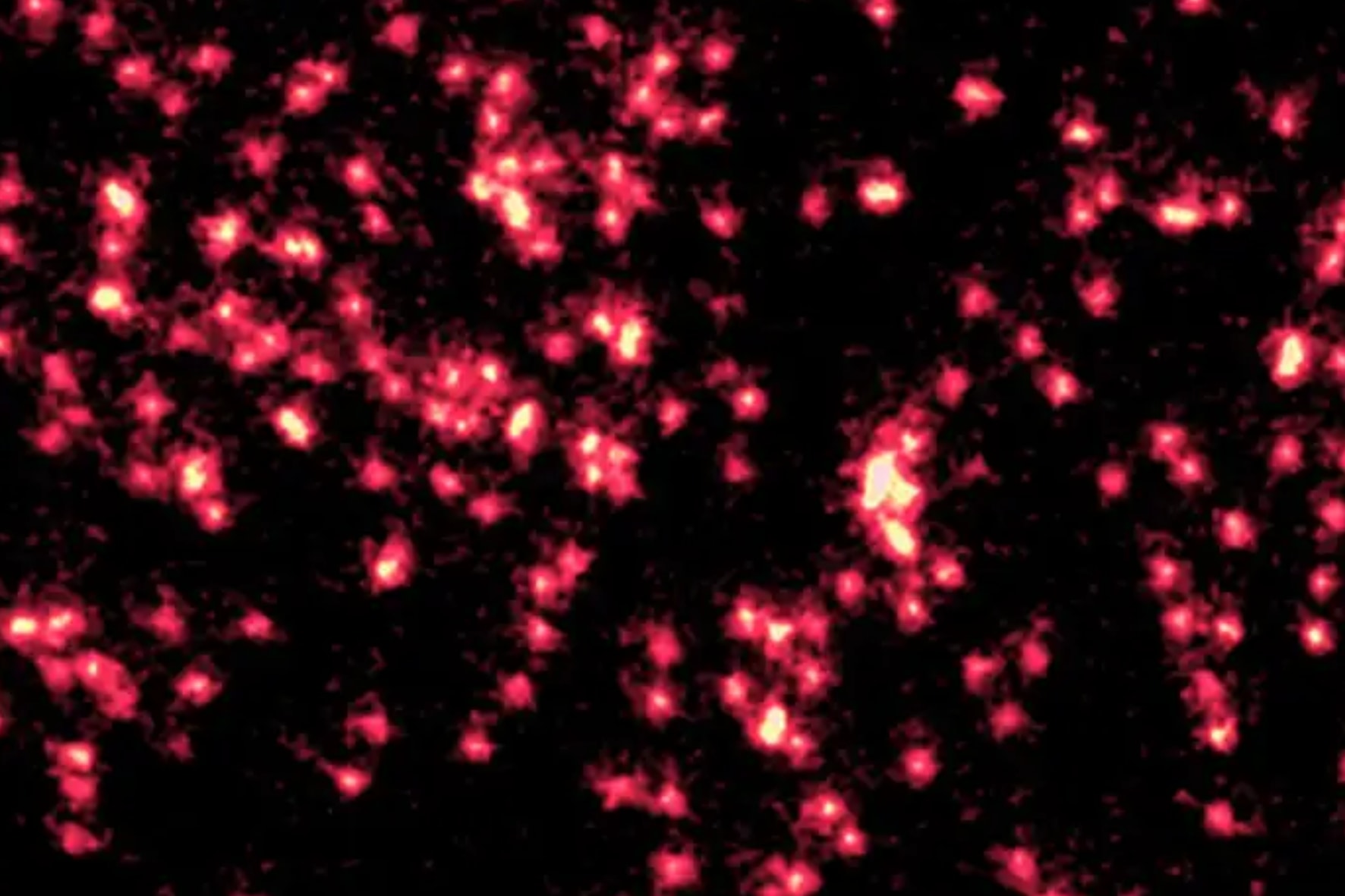 単一原子が「量子的な波」に変化する様子を視覚的に捉えた研究