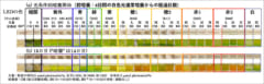 培地と光条件ごとに培養されたユーグレナの色