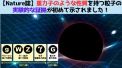 【Nature誌】重力子のような粒子の実験的な証拠を発見！