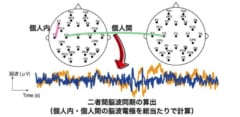 29個の脳領域のネットワークを分析