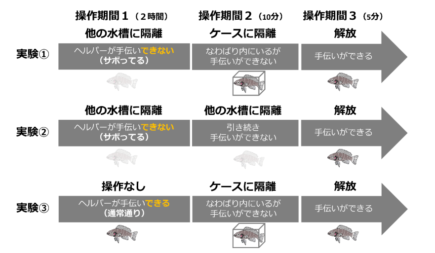 3つの実験条件