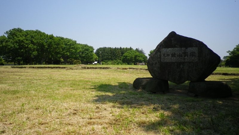 姥山貝塚、ここの建物跡からはフグの骨も発掘されており住人たちはフグを食べて中毒死したとする説もある