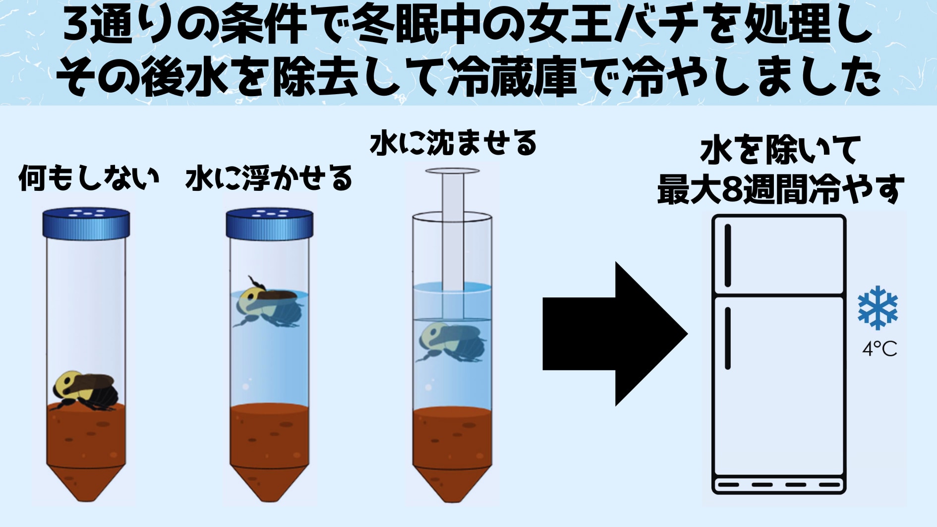 水没に耐える実験