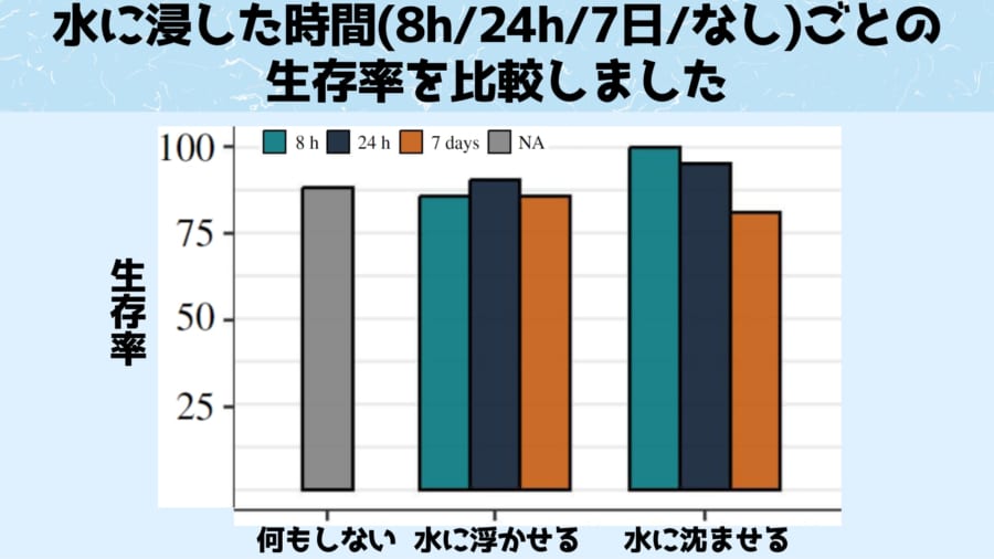 7日間水没していても生存率にはほとんど変わりありませんでした