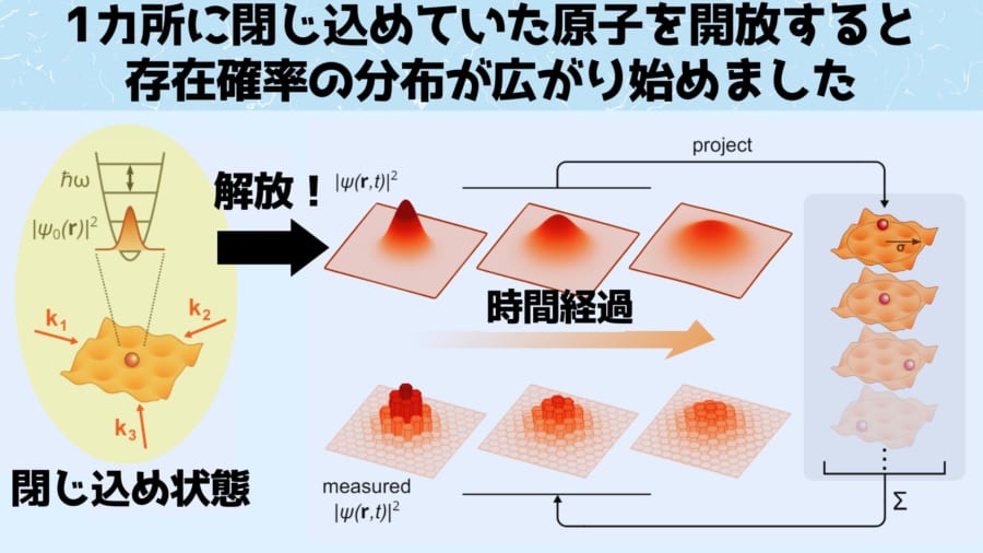 固定されていた単一原子が解放されると波束が拡散していきます