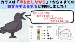 カラスは「声を出しながら」数をかぞえられると判明！