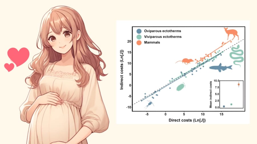 人間の赤ちゃんを出産するまで5万カロリー以上だと判明！