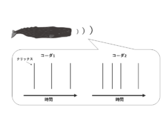 いくつかのクリックスから構成されるとコーダ