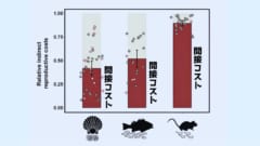 出産数の少ない種では間接コストも高くなっています