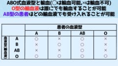 ABO型をもとにした輸血できるかをまとめた図