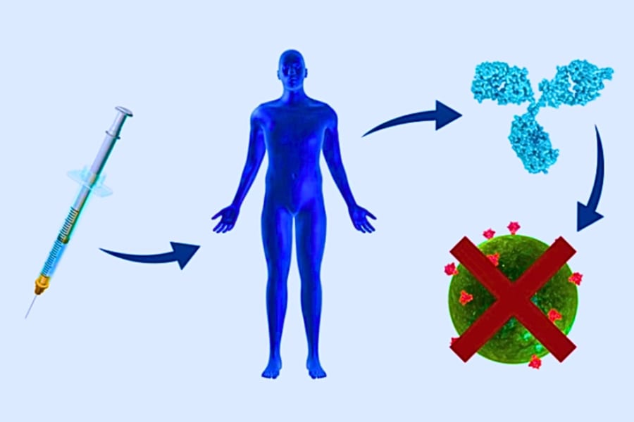 難航していた「HIVワクチン」開発に道筋！変異に打ち勝つ中和抗体を免疫に作らせることに成功！