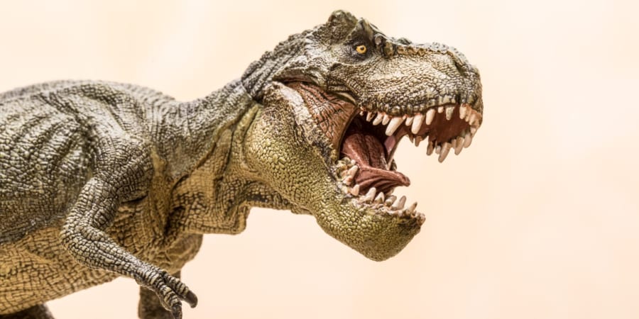 ティラノサウルスはヒヒ並みに賢かった」説に反論！ワニ程度だった