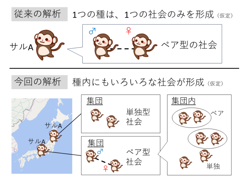 一つの種内にもいろいろな社会がある。