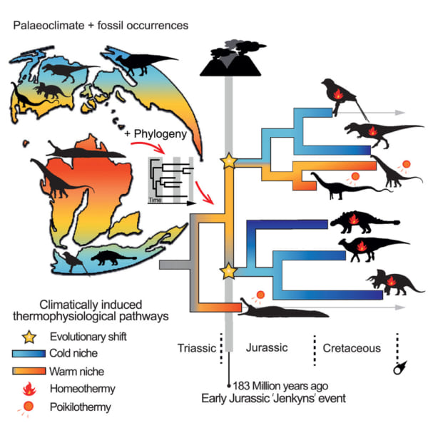 系統樹の青：寒冷地へ移動した獣脚類と鳥盤類。系統樹のオレンジ：低緯度に留まった竜脚類。
