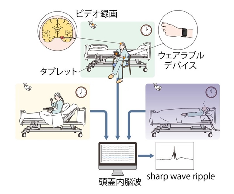 調査プロセスのイメージ