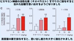 既存薬のなかに忘れた記憶を思い出させるものがある