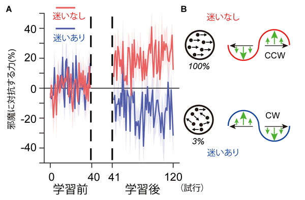 追加実験の結果。（ A） 迷いなし又は迷いありのグループの運動学習前後における邪魔に対抗する力 、（B） 迷いなし又は迷いありの学習におけるハンドルの動きに掛かる邪魔する力のパターン