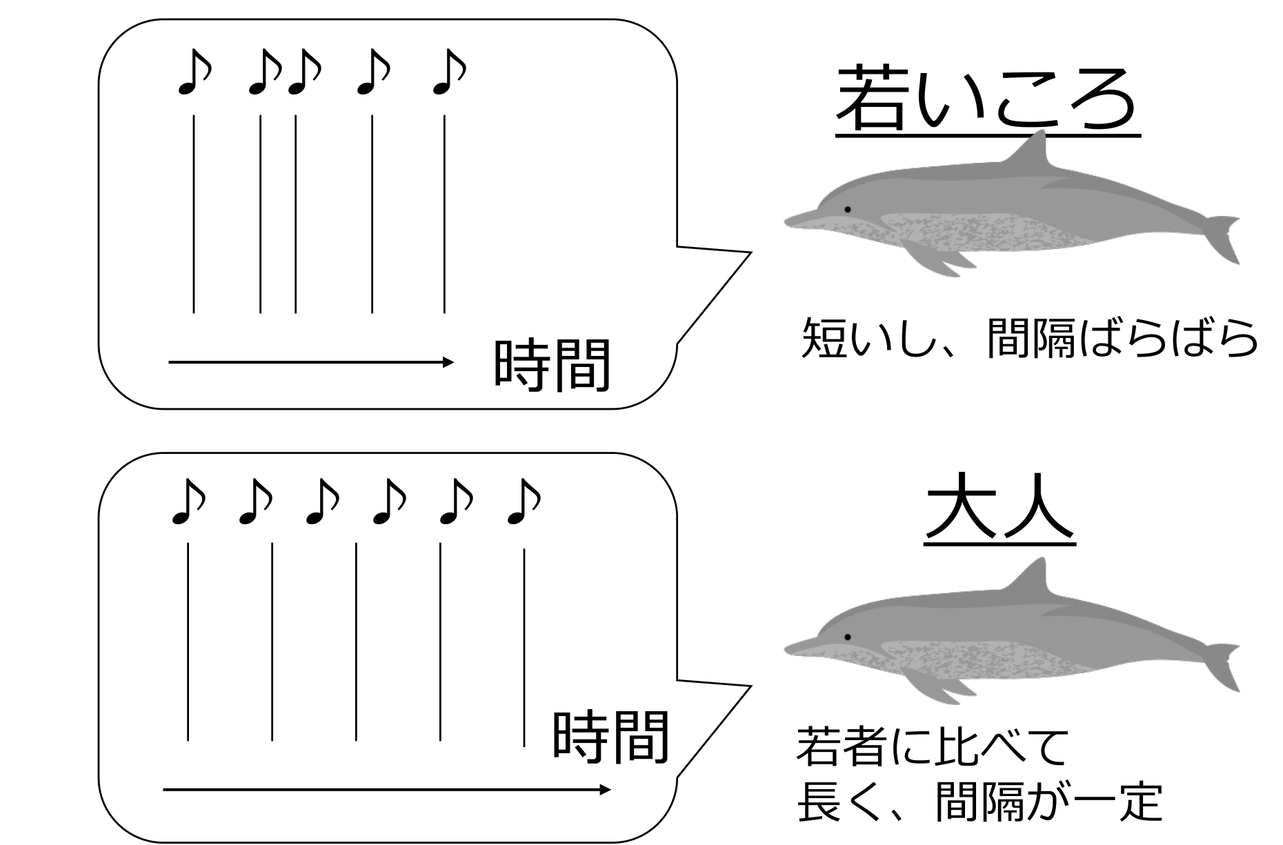 若いオスの口説き文句は、オトナほど洗練されていない