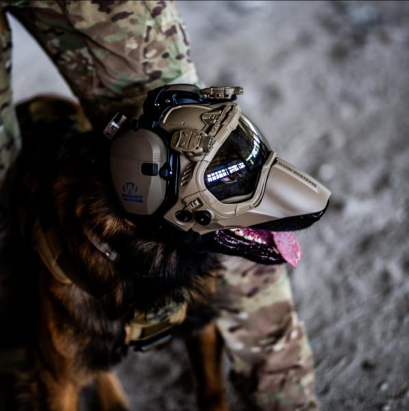 軍犬用ヘルメット「DarkFighter K9 GEN4」