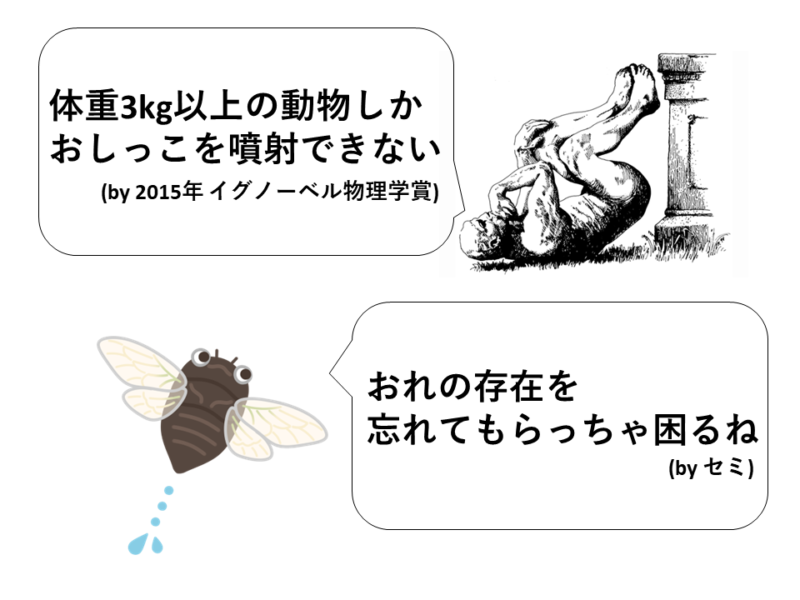 イグノーベル賞が発見した「動物たちのおしっこの法則」をセミが覆す！